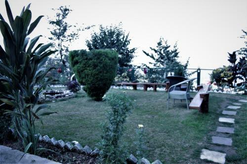 Bed & Breakfast Wildleaf Kasauli -valley Homz