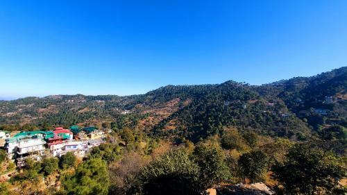Bed & Breakfast Wildleaf Kasauli -valley Homz