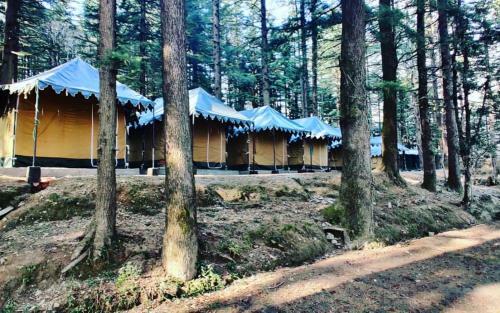 Himtrek Adventure Camps Mcleodganj