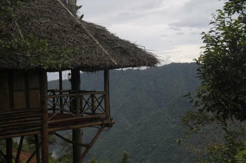 Aranyakam Homestay