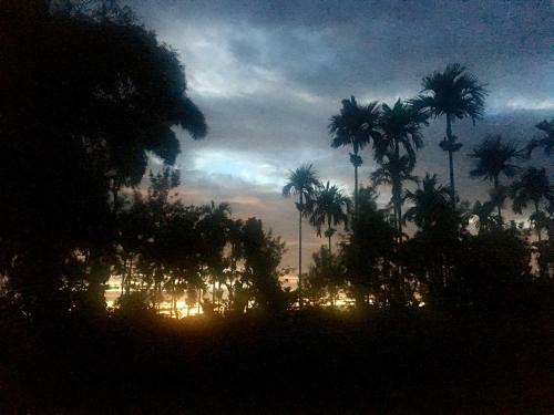 Aranyakam Homestay