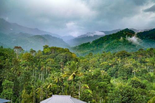 Apartamentos Munnar-view 1br Stay In Anachal