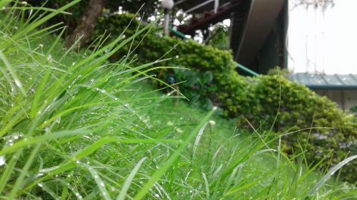 Hostal Namasthe Munnar