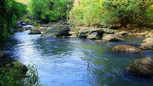 Fab Valley Homestay