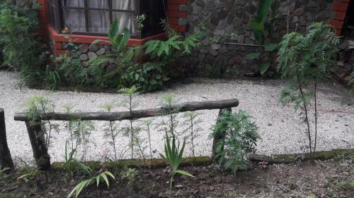 Hostal Stone Heights