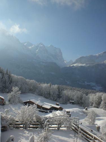 Bed & Breakfast Pension Staldacher