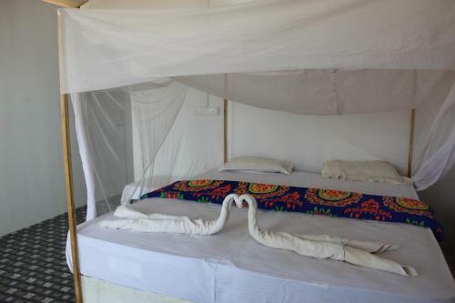 Hotel Mountain Palm Beach Resort