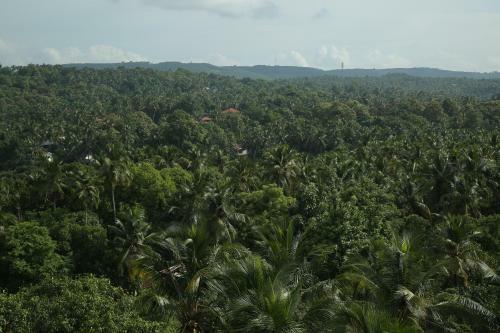 Hotel Hazmi AC Rooms