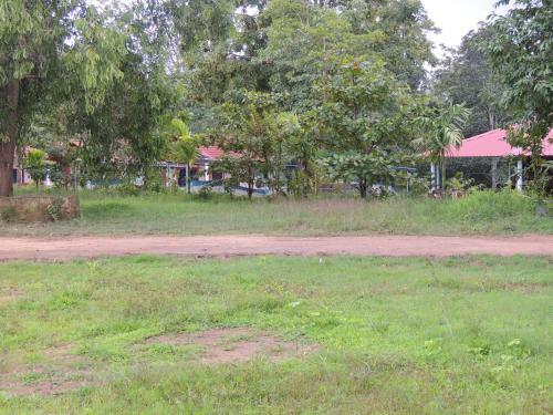 Dandeli - Jungle Nest