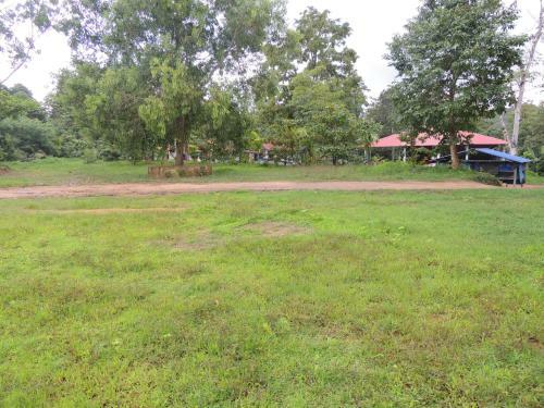 Dandeli - Jungle Nest