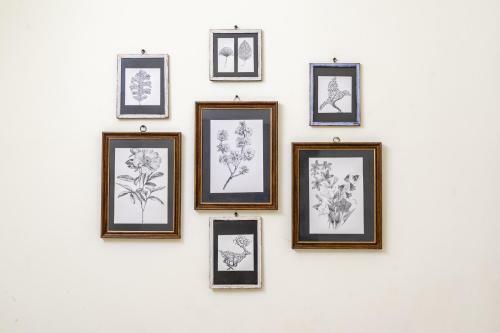 The Wildflowers Of Walden