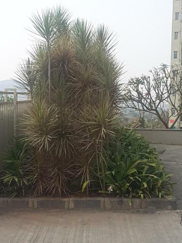 2 Bed Room Apartment + Mountain View + Swimming Pool