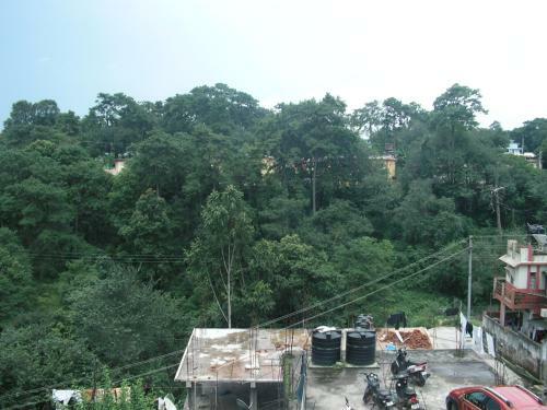 Troya Home Stay