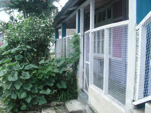 Troya Home Stay
