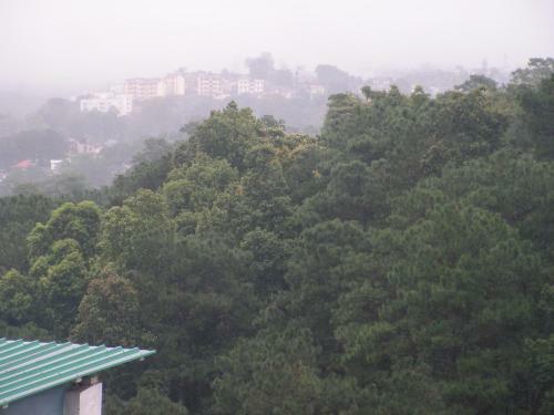 Troya Home Stay
