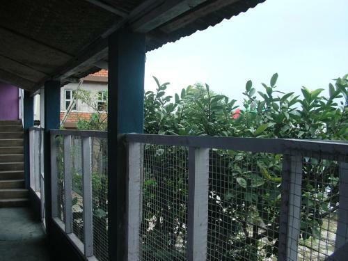 Troya Home Stay