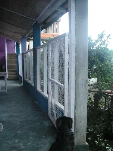 Troya Home Stay