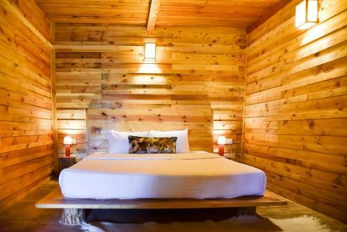 Hotel Suro Treehouse Resort
