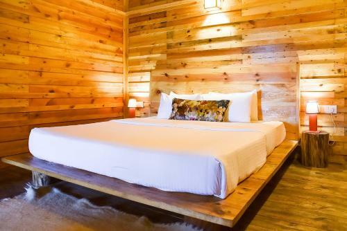 Hotel Suro Treehouse Resort