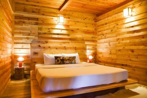 Hotel Suro Treehouse Resort