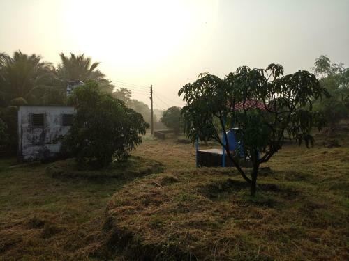 Hostal Rashmi Woods Hotel & Resort