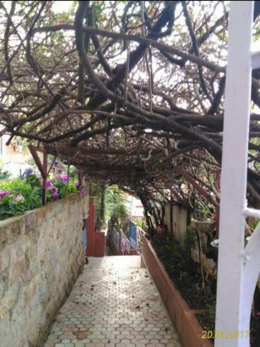 Hostal Hospitality Inn Shillong(4)