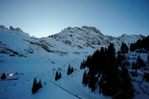 Berghotel Tr�bsee