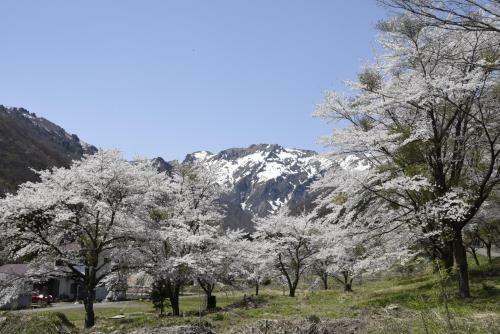 Yado Kanzan
