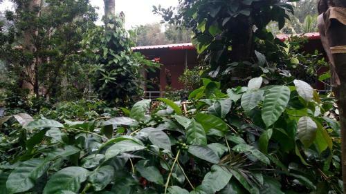 Bed & Breakfast Staysimple Spicefarm