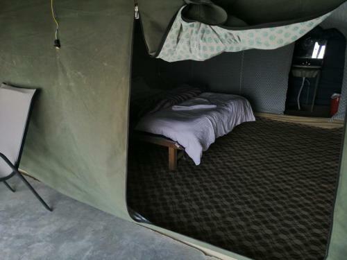 Auspicious Camp Pangong