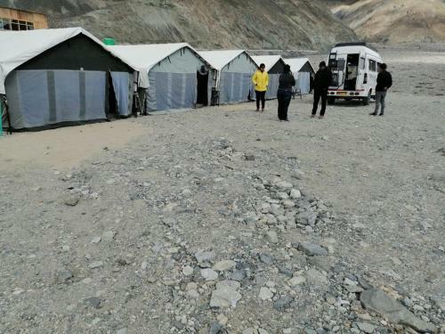 Auspicious Camp Pangong