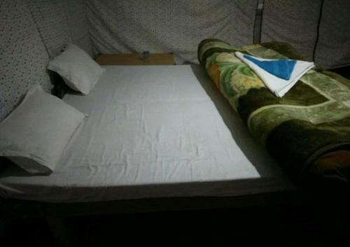 The Buddha Camp - Pangng