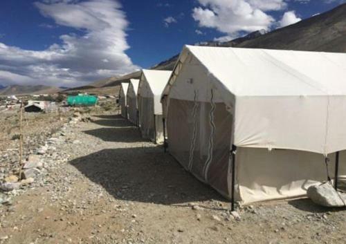 The Buddha Camp - Pangng