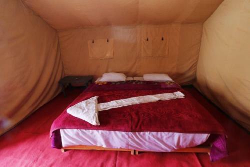 Wonderland Tourist Camp -pangong