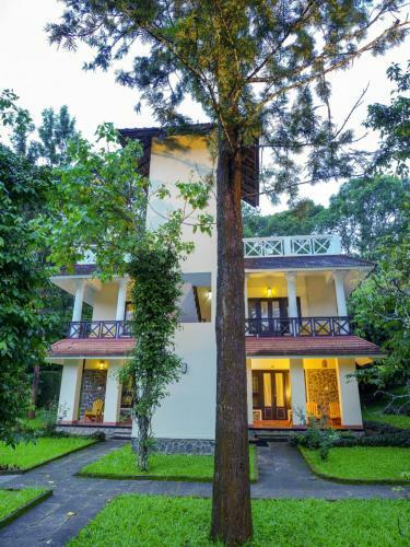 Agroturismo Hotel Treetop