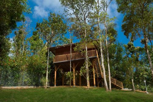 Hotel Spices Lap, Thekkady