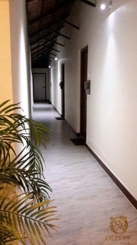 Hotel Olives Pleasant Stays