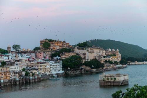Hotel Backpacker Panda Udaipur