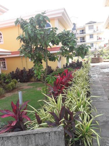 Rosa Dona 2 Serviced Apartment