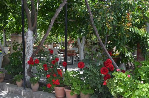 Hostal Erciyes Pension