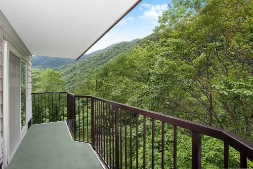 Tenjin Lodge