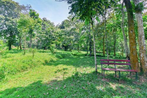 Apartamentos Exotic 1bhk Home Near Sultan Bathery