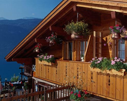 Hotel Wildbach