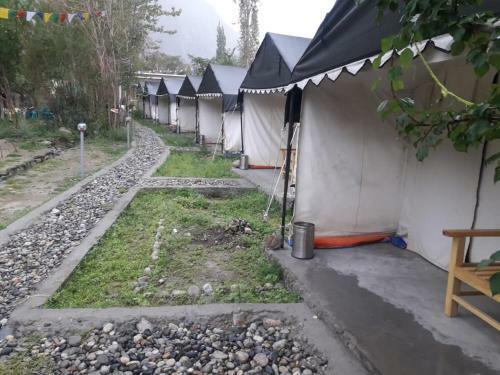 Nubra Pika Camp
