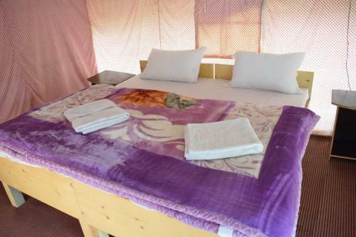 Nubra Pika Camp