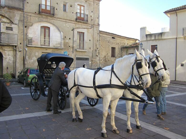 Hotel Castello Di Altomonte