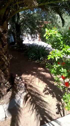 Apartamento Serranello Azienda Agricola