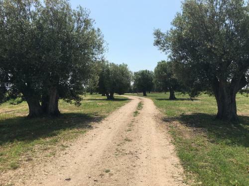 Agroturismo Resort Fonte Vulci