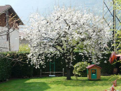Bed & Breakfast La Casa Di Clara