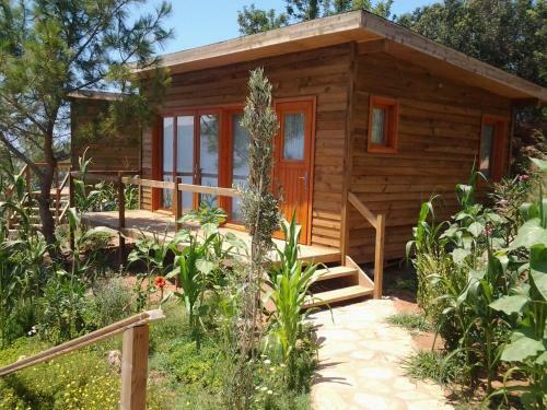 Lodge Kabak Avalon Bungalows